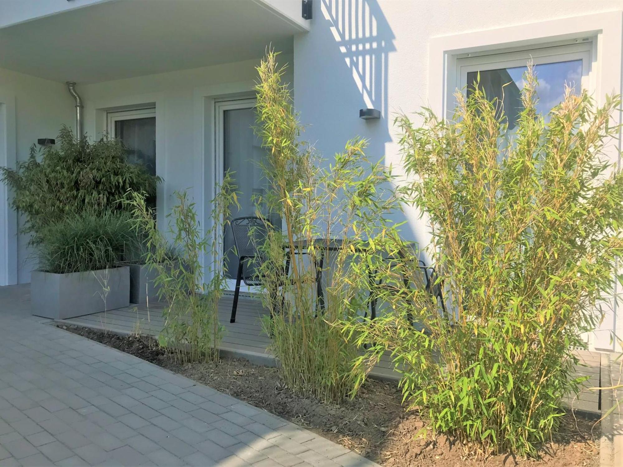 App 6, Strandresidenz Duenenperle Ostseebad Kühlungsborn Exteriör bild